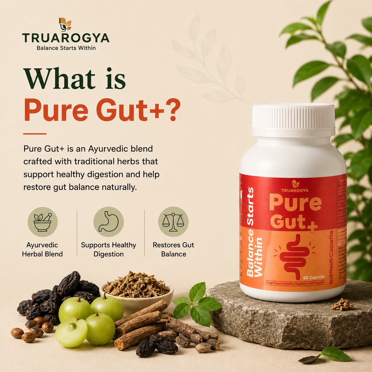 TruArogya Pure Gut+ Gut Health Capsules | Supports Digestion, Bloating Relief, Detox & Gut Cleanse | 100% Natural Ayurvedic Formula | 60 Capsules - Image 5