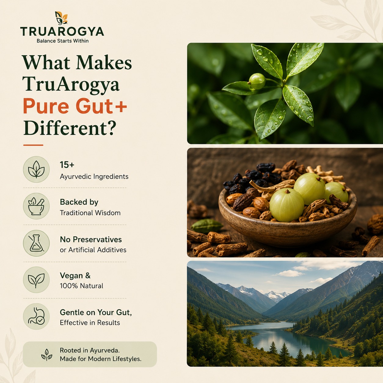 TruArogya Pure Gut+ Gut Health Capsules | Supports Digestion, Bloating Relief, Detox & Gut Cleanse | 100% Natural Ayurvedic Formula | 60 Capsules - Image 6